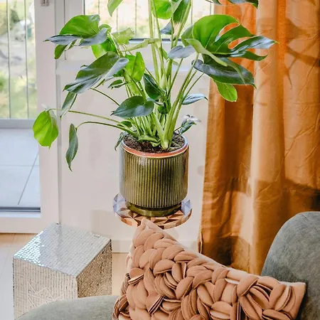Designhotel Sissikuss 3* Bad Ischl